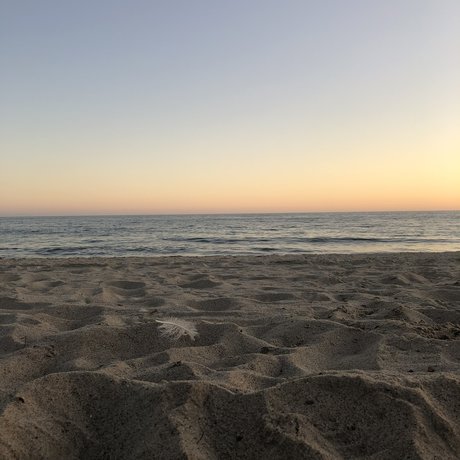 Jarred トップモデル 写真