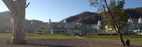 Jbear スター xxx 画像