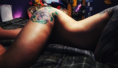 Halo M n HDスター 写真