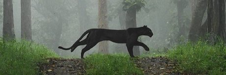 The Neighbor 独占女優 写真