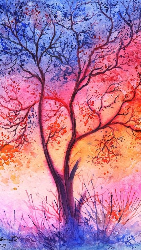 Misti Rose_ 素敵なスター 画像