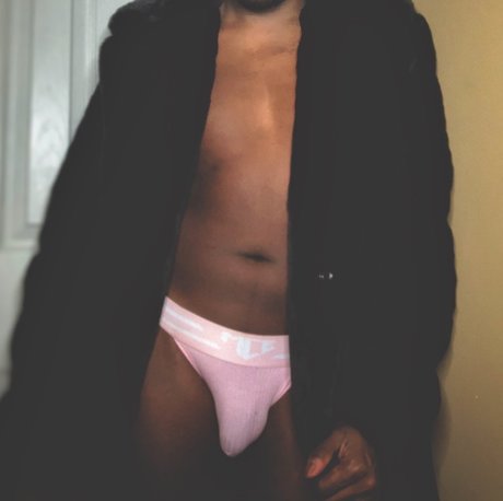 Hung Traveler 高品質モデル 写真