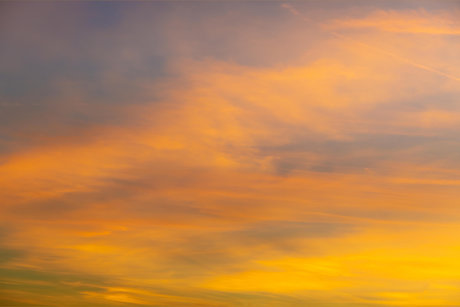 Jason Scott アートモデル アーカイブ