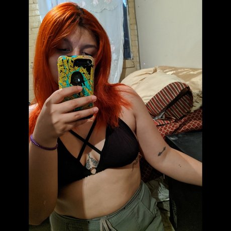 Dayna Bochelli 完璧なスター ギャラリー