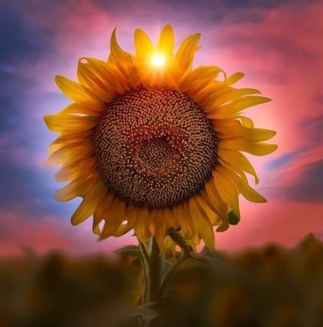 Lizzie Simpson read bio ヌードのポルノスター ギャラリー