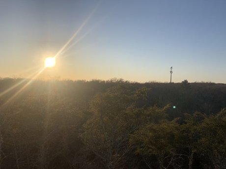 Jake and the Giant_ 美しいスター 写真