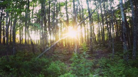 Monkey_ トップモデル 写真