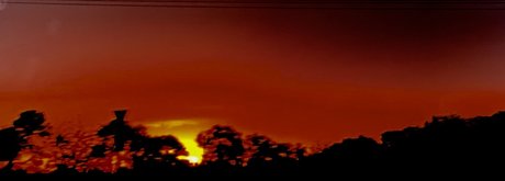 Matthew Perry ヌードのポルノスター 写真