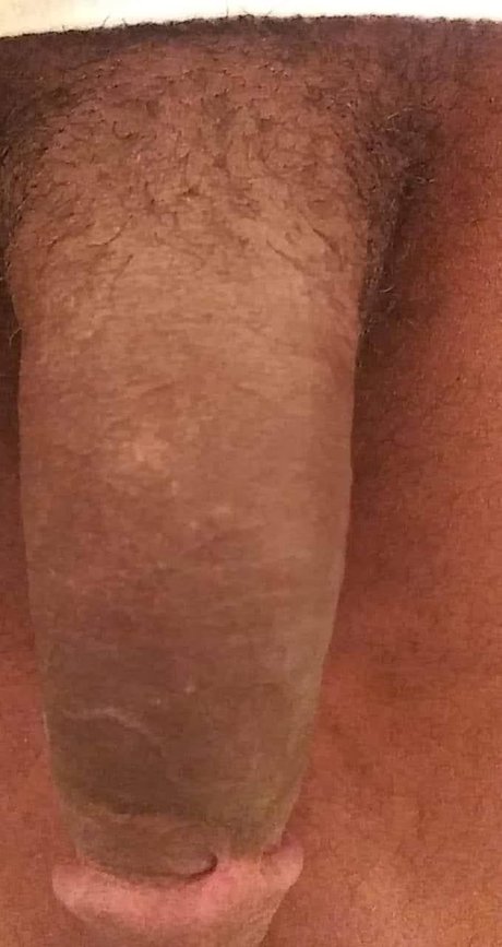 D Anthony 高品質のスター 写真