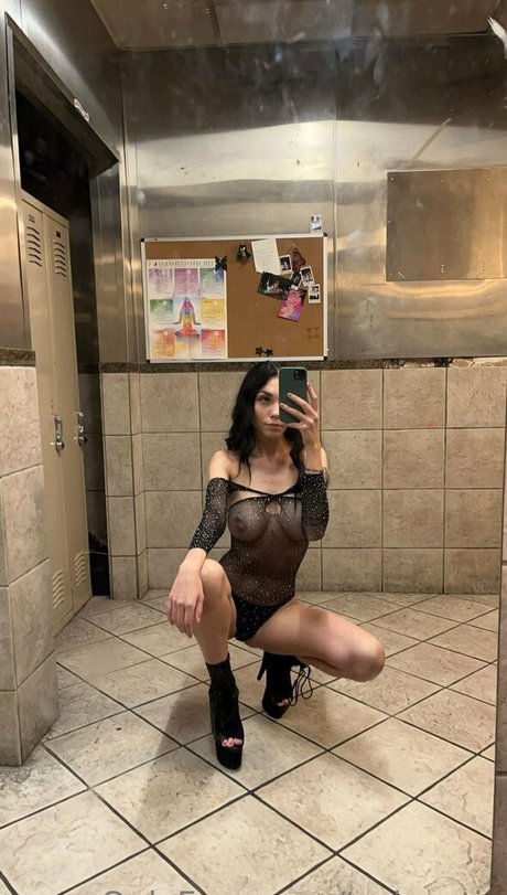 toriexotic HDモデル ギャラリー