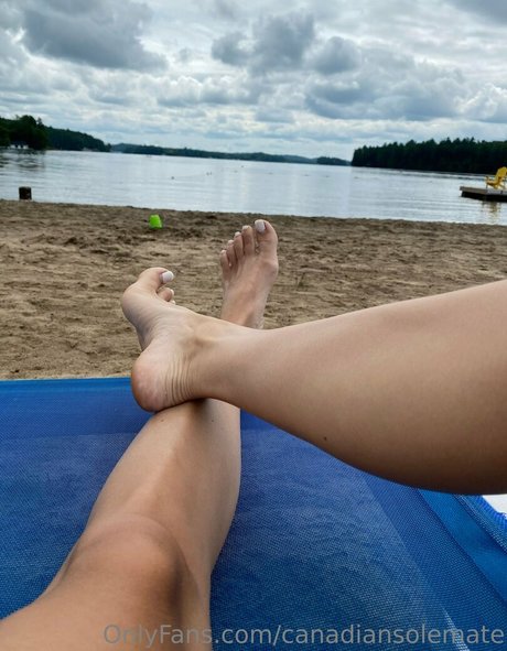 canadiansolemate HDモデル 写真