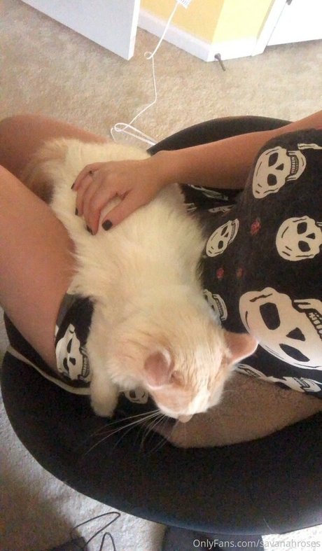 savanahroses 無料のポルノスター アーカイブ