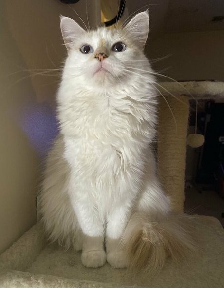 黒人ヌードOnlyFans アートポルノ ギャラリー