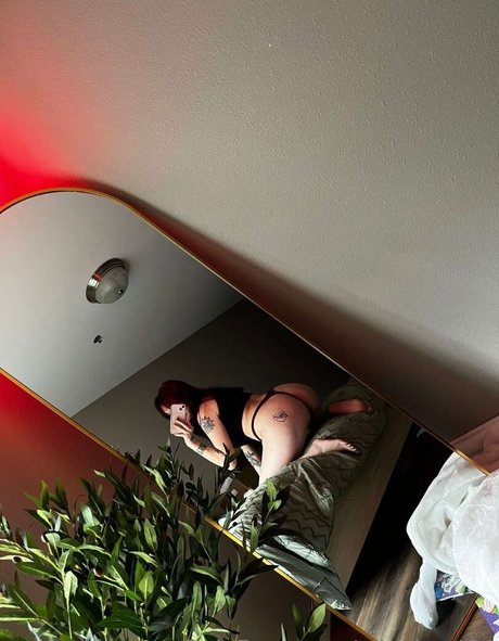 lleykt421 無料のスター ギャラリー