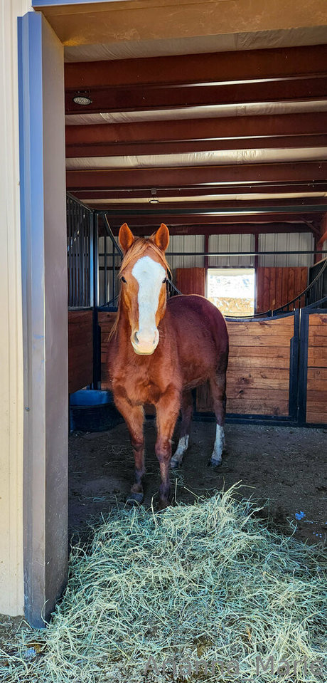 痴女熟女OnlyFans ホットセックス 写真