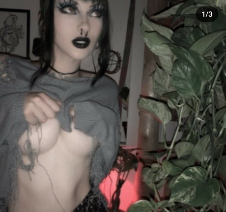 Fleshf1y セクシーなポルノスター 写真