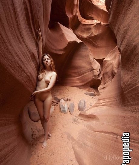 Xlilyflowersx トップスター 写真