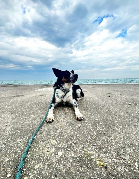 irisinthekitchen ポルノスター 美しい 写真