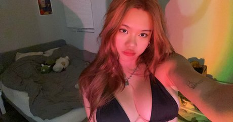 Wahoopunch 素敵なスター 写真