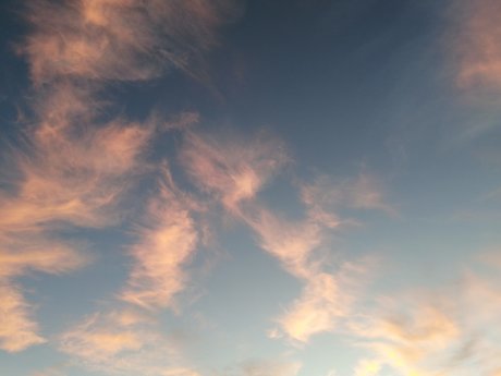 dreamyhedera 独占ポルノスター 画像