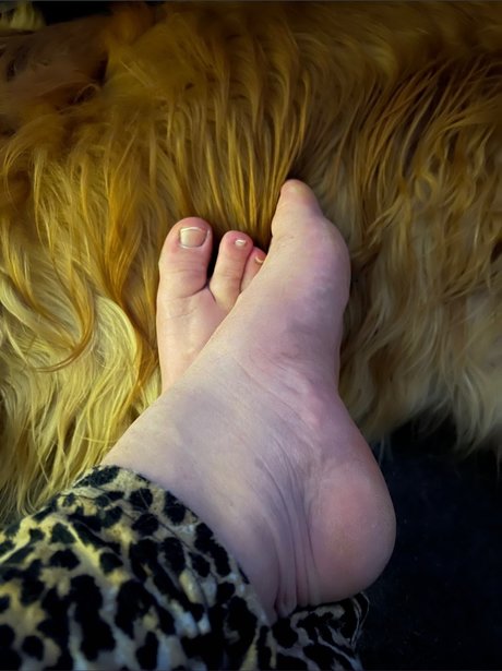 アジア人のアナルオンリーファン 素敵 写真