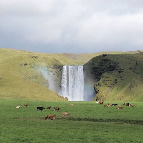 美しいアジアのOnlyFans 無料セックス 写真