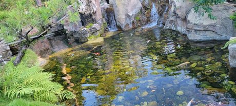 Mystibabe 独占スター 写真