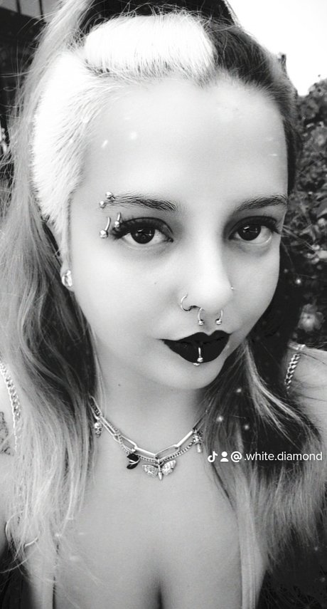 Mystery Blue 完璧なスター 写真