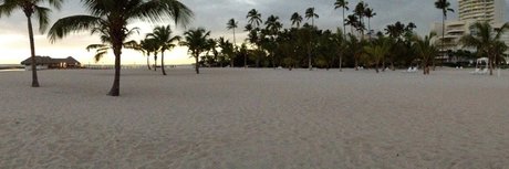 Freddy Pinto_ 最高のスター 画像