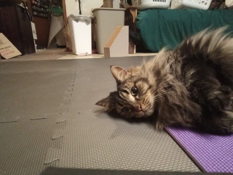 黒人無料OnlyFans ホットセックス 写真