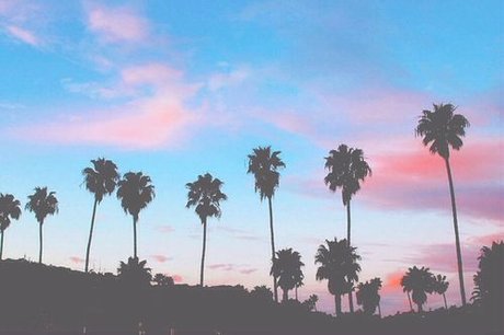 Emma Sunflower 最高のスター 写真