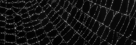 ry gravez free ホットスター 画像