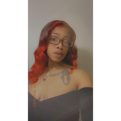 Curve Collector 美しいモデル 写真