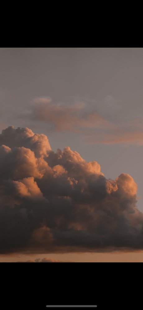 Christian Reese 無料スター 写真