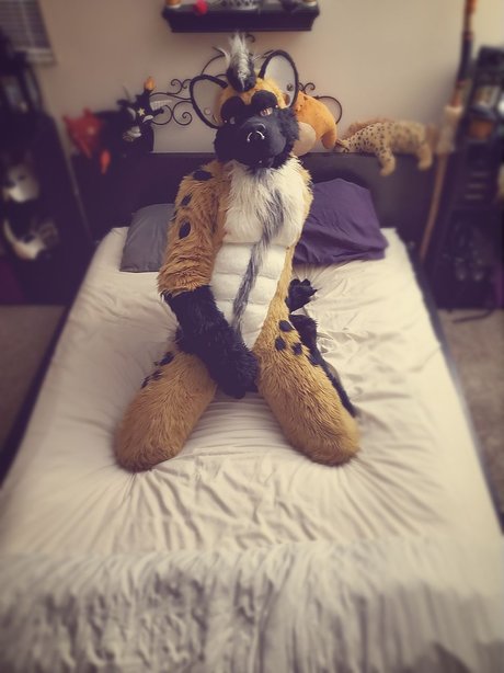 Big Daddy Steel セックス女優 写真