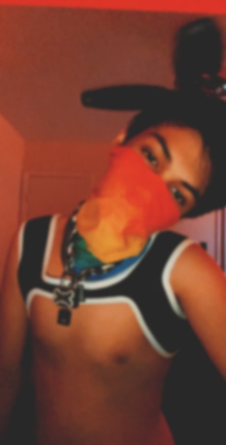 Robin Wonder アダルトスター 画像