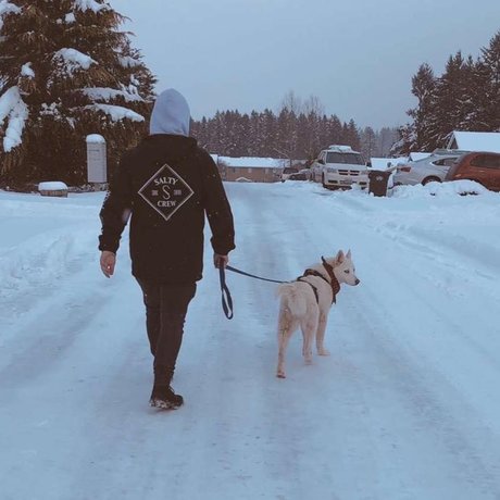 Craig Rollins ポルノスター ギャラリー