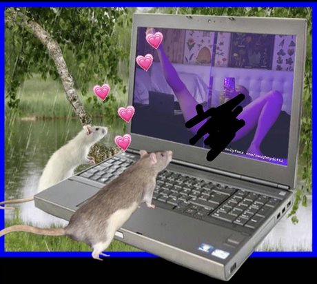 dot 美しいスター 写真