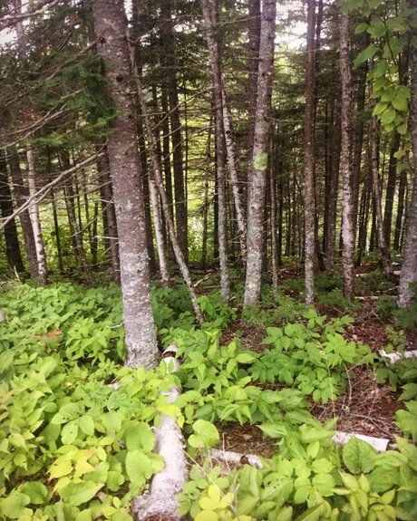 Chrissy_ ポルノスター 無料 ギャラリー