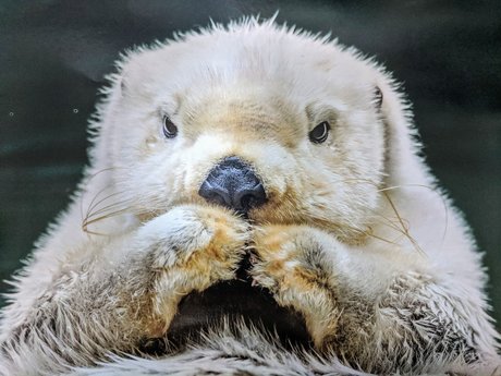 Bombtastic かわいいポルノスター 写真