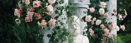 Misty Fae ポルノスター 写真