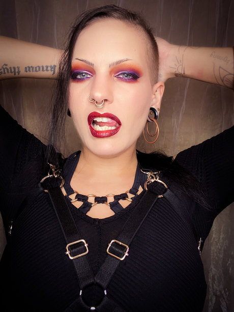 Night Satellite ポルノスター 写真