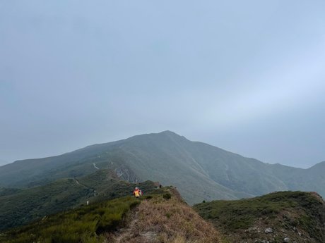 Aninsey アダルトモデル 画像