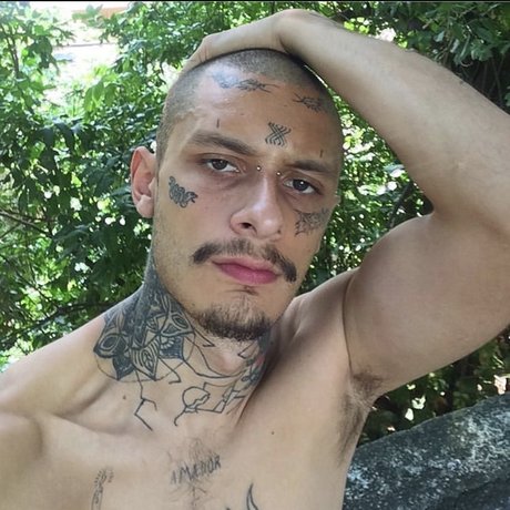 Johitan papi トップスター 写真