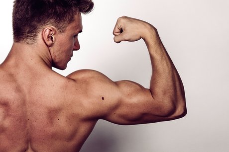 Alpha Lord Levi ヌードモデル 写真