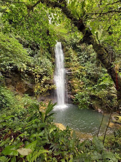 Darkcary 高品質女優 画像