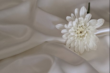 Aisha Love HDモデル 画像