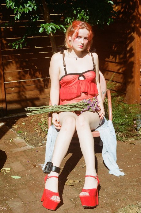 Rose Fairy Heart 裸のスター 写真