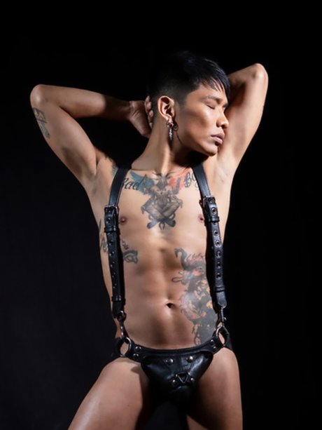 Alexiel Torres HDスター 画像