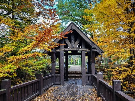 Alyx Cadence ポルノ女優 写真